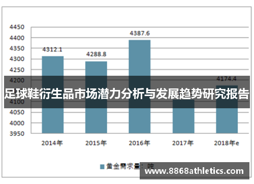 足球鞋衍生品市场潜力分析与发展趋势研究报告